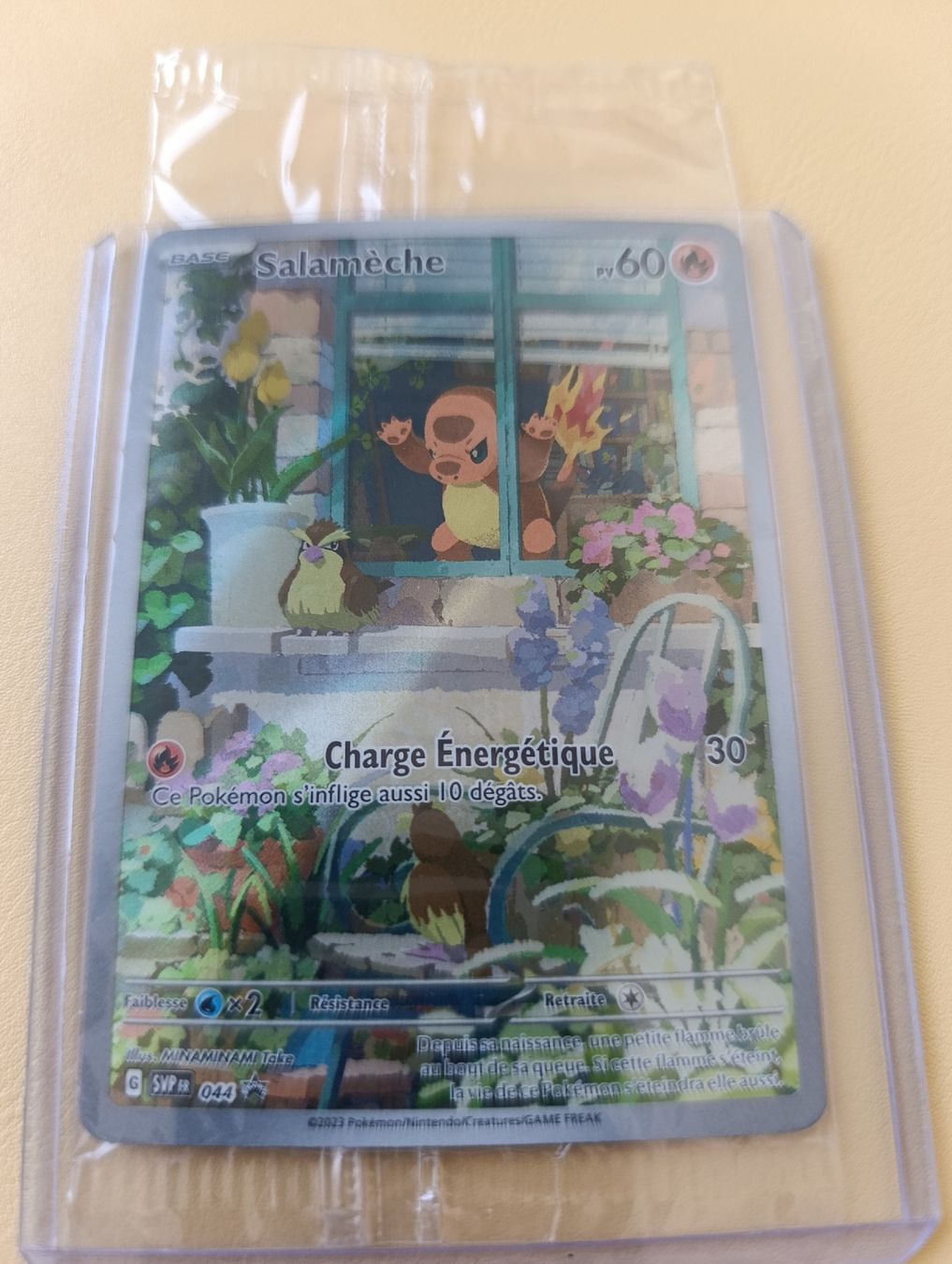 Pokémon Carte collezionabili: Carte Pokémon Salamèche Promo 044 FR scellé  – Usato da Yverdon-les-Bains venduto da cashkiller