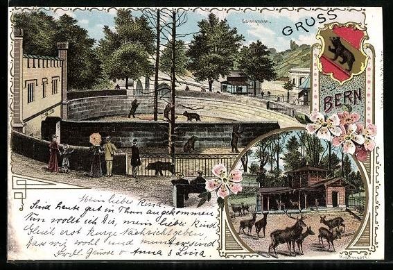 Cartoline postali: Litho Bern, Bärengraben, Hirschpark – Usato da Berlin venduto da bartko-reher