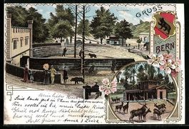 Litho Bern, Bärengraben, Hirschpark