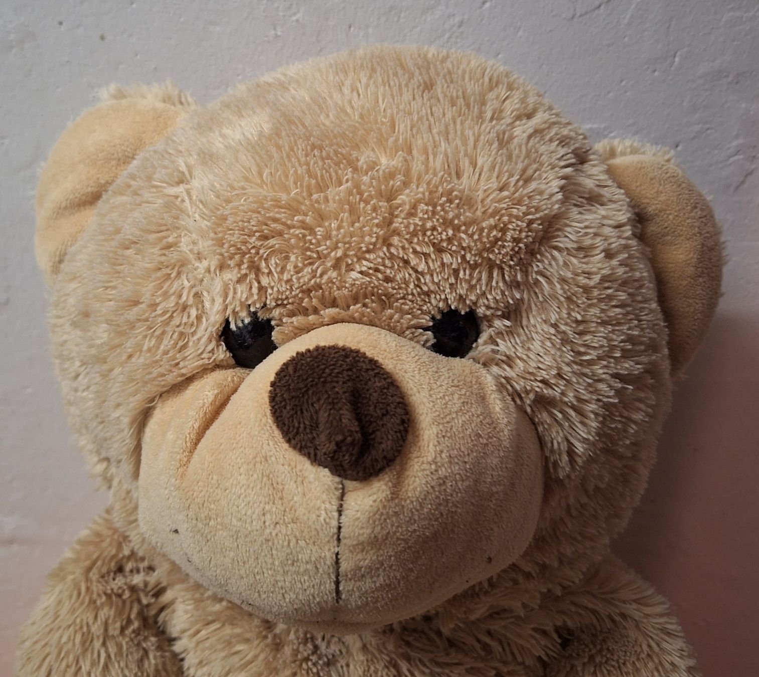 Giocattoli: Kuschel Bär, 63cm beige – Usato da Muri AG venduto da Edlerweiss 1