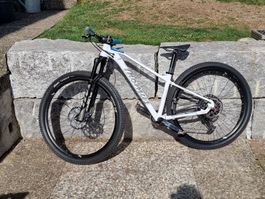 Mountainbike Thömus Tomcat weiss 