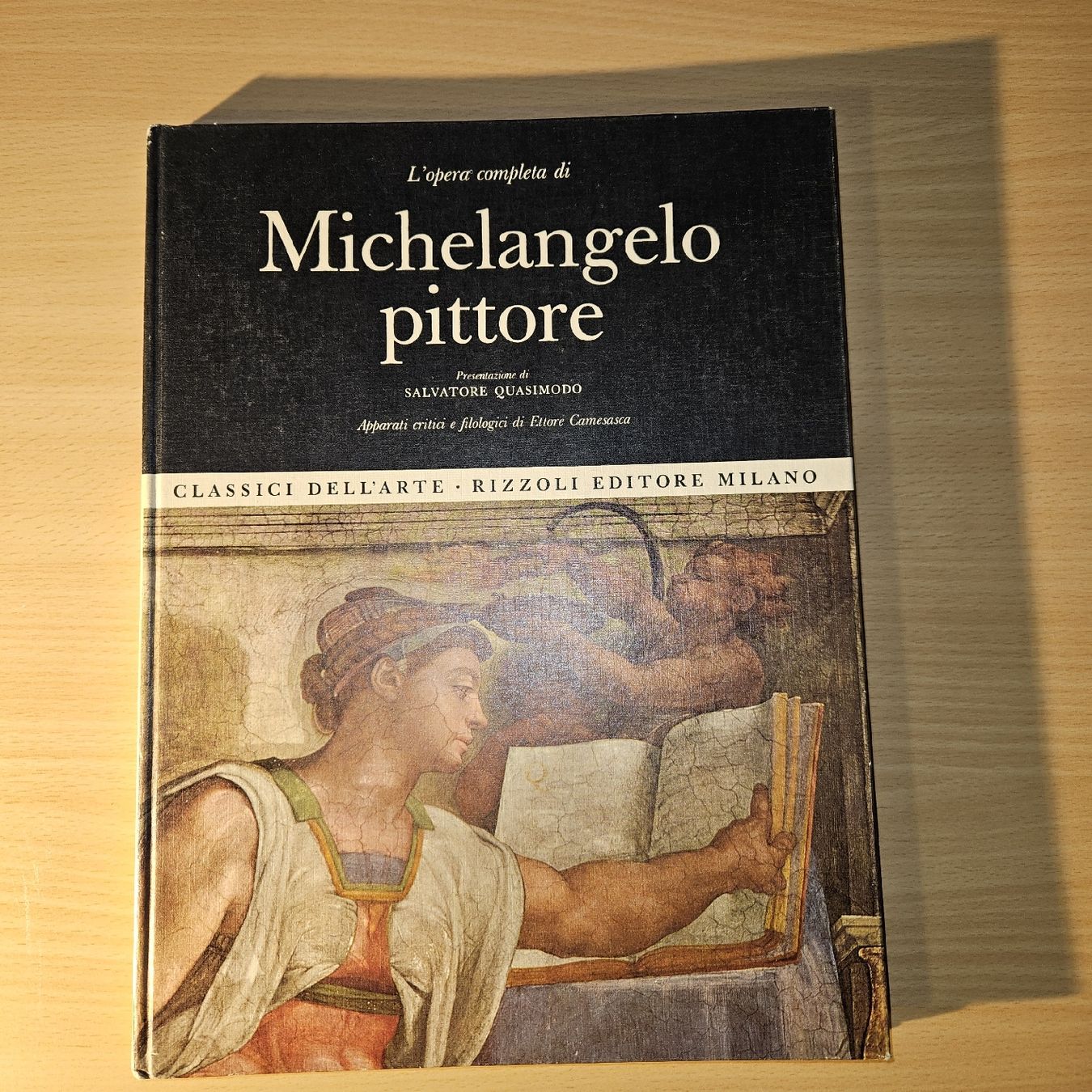 Libri: Michelangelo pittore - Klassisches Kunstbuch – Usato da Kriens venduto da gra_fhn7