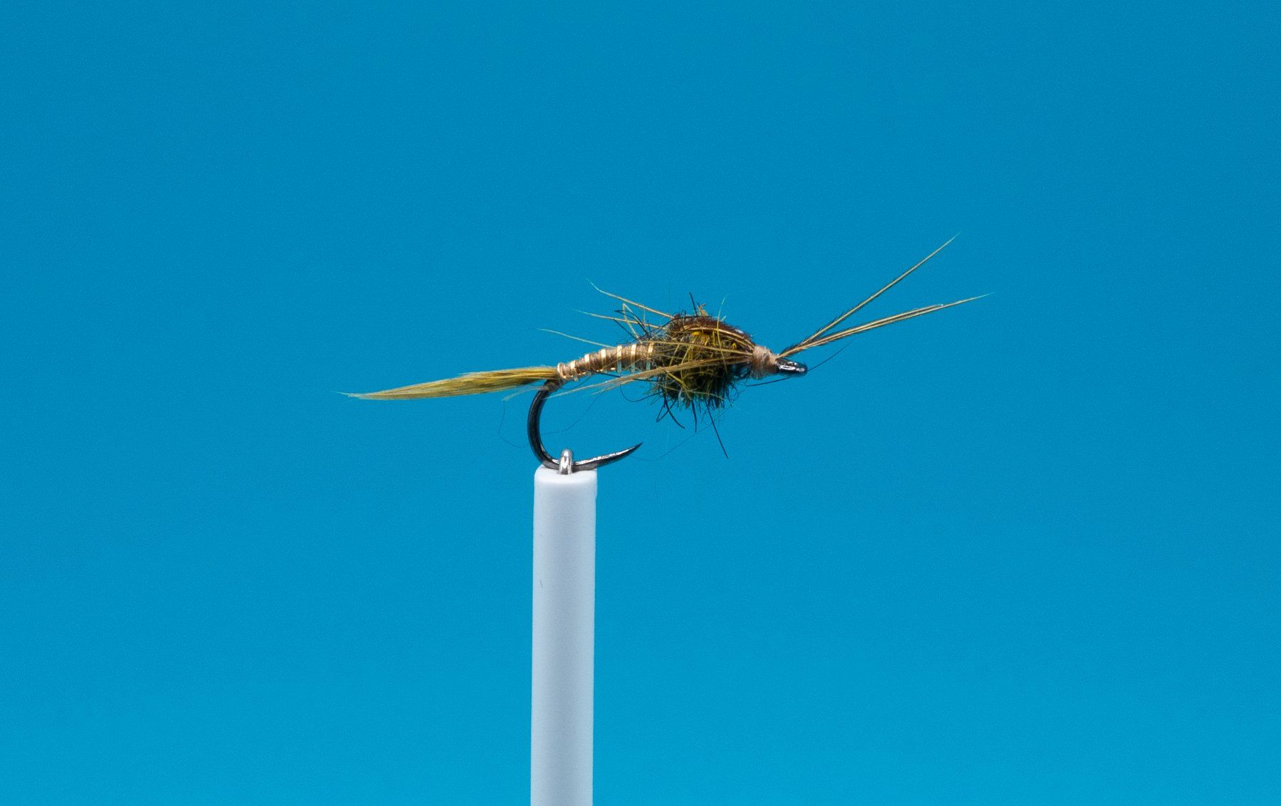 Esche: 10 verschiedene Emerger- Nymphen – Nuovo e nell'imballaggio originale da Grenchen venduto da firefly2000