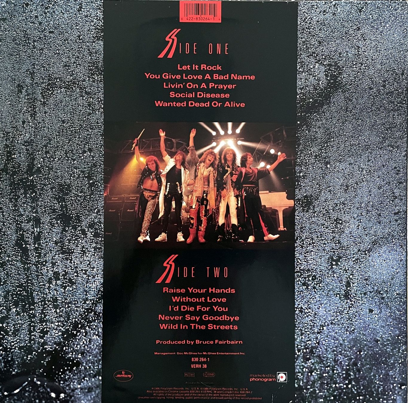 Vinyles: Bon Jovi - Slippery When Wet – D'occasion à Savagnier par Ne2065 1