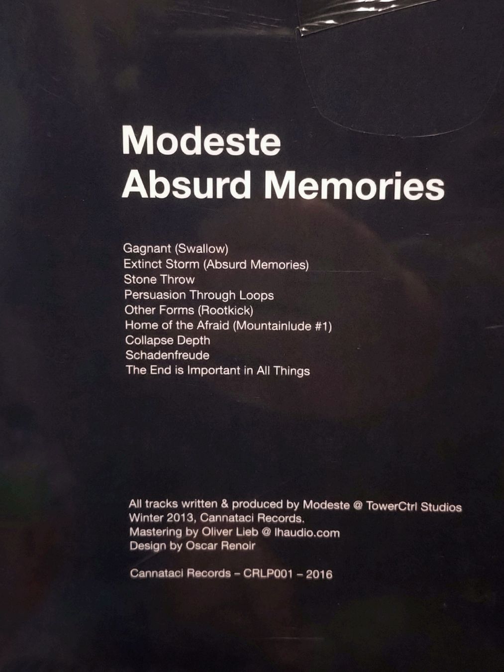 Dischi in vinile: Modeste Absurd Memories (Vinyle) NEW  – Nuovo (secondo la descrizione) da Farvagny-le-Grand venduto da LaCaverne 2