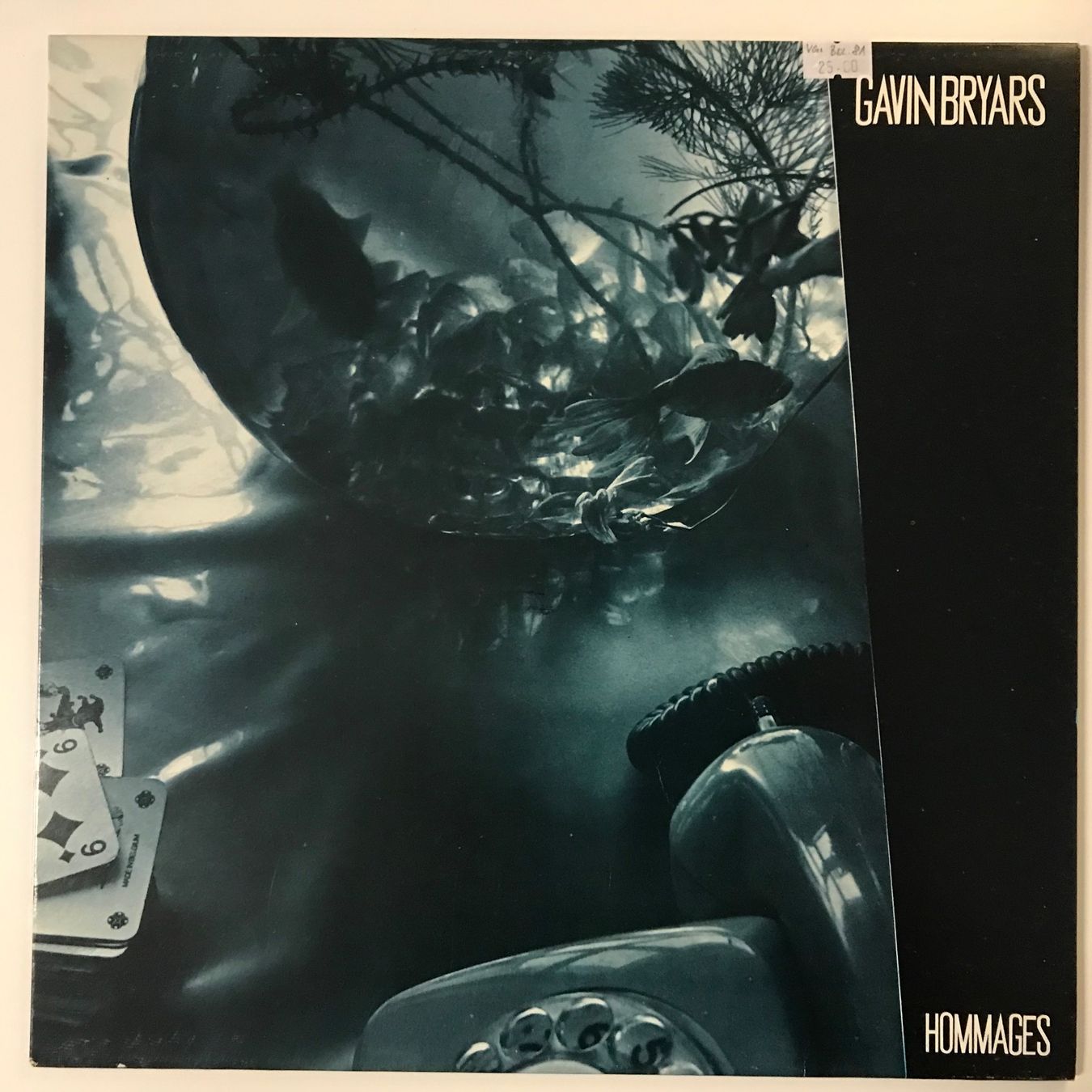 Dischi in vinile: Gavin Bryars - Hommages – Usato da Aesch BL venduto da BlueMusicRecords