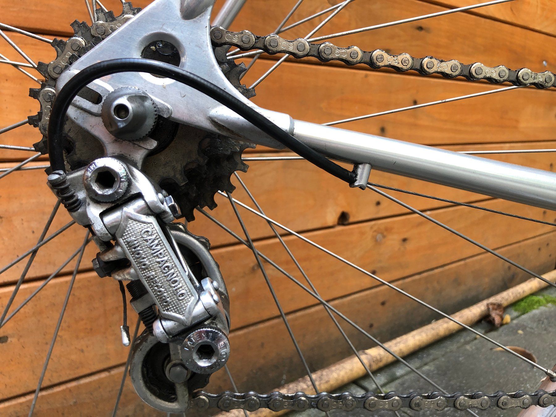 Biciclette: Quervelo Alan mit Campagnolo Nuovo Record – Usato da Riehen venduto da flohropax 6