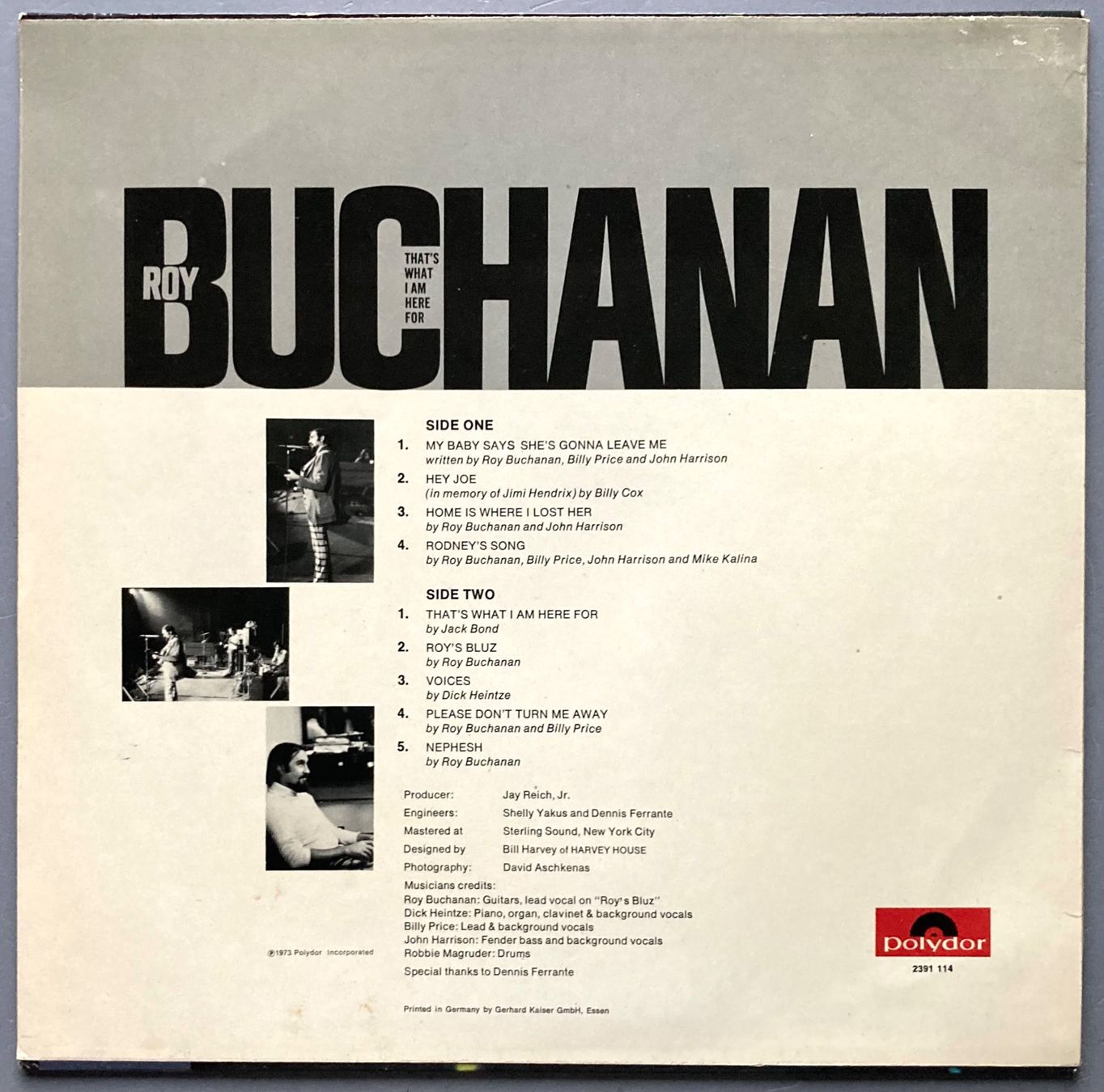 Dischi in vinile: ROY BUCHANAN - THAT'S WHATI AM HERE FOR – Usato da Poliez-Pittet venduto da Newtown-Records 1