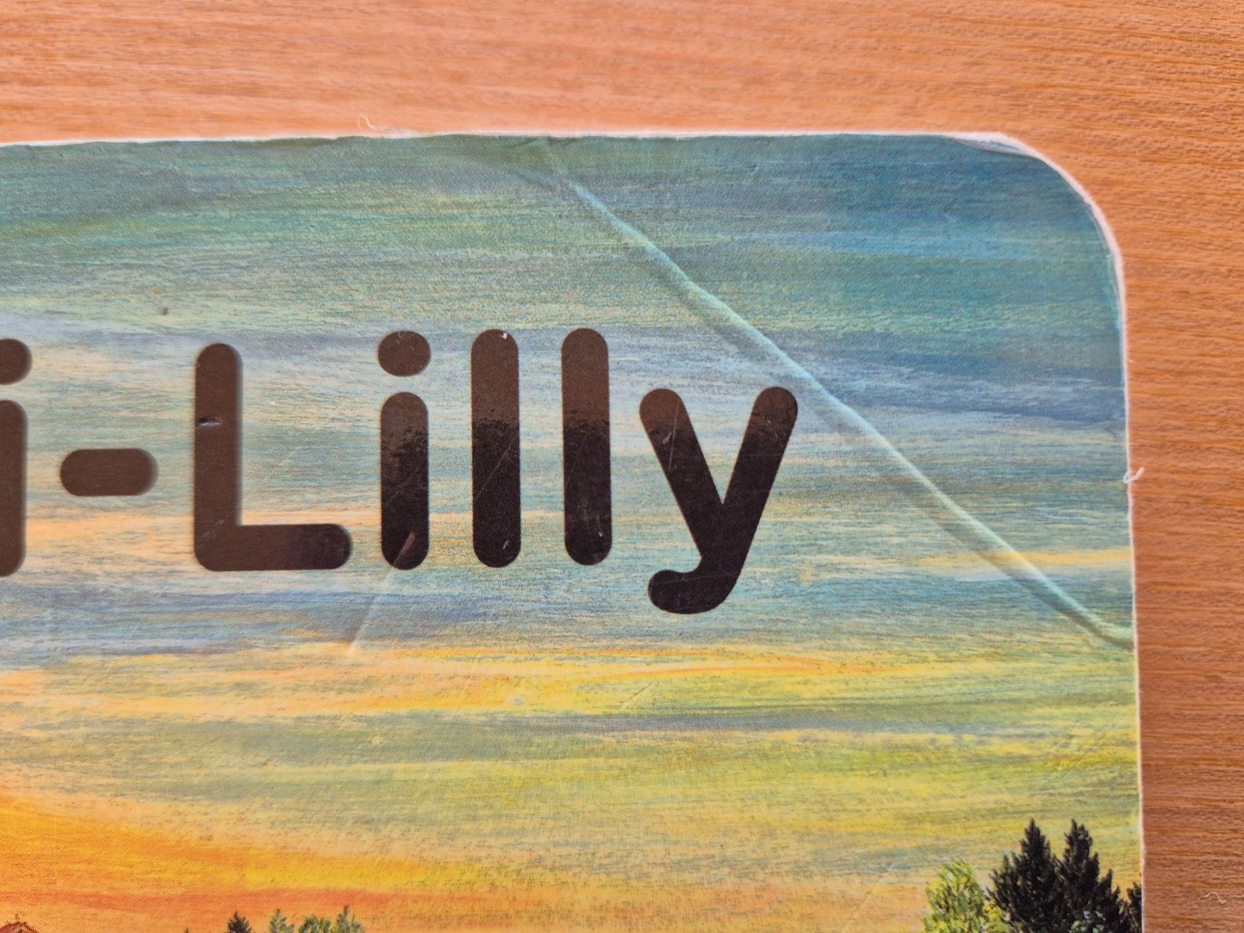 Libri: Mini-Lilly Papp- Bilderbuch – Usato da Giswil venduto da 0G6 1