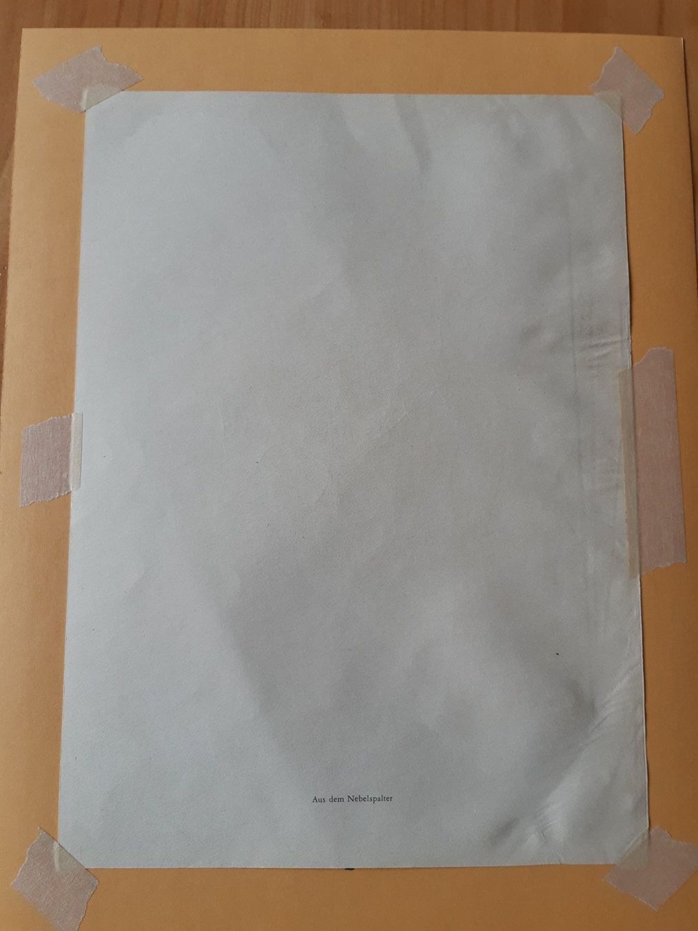 Grafica & Litografie: Nr.2 original Litho Nebelspalter – Usato da Grindelwald venduto da carro5 4