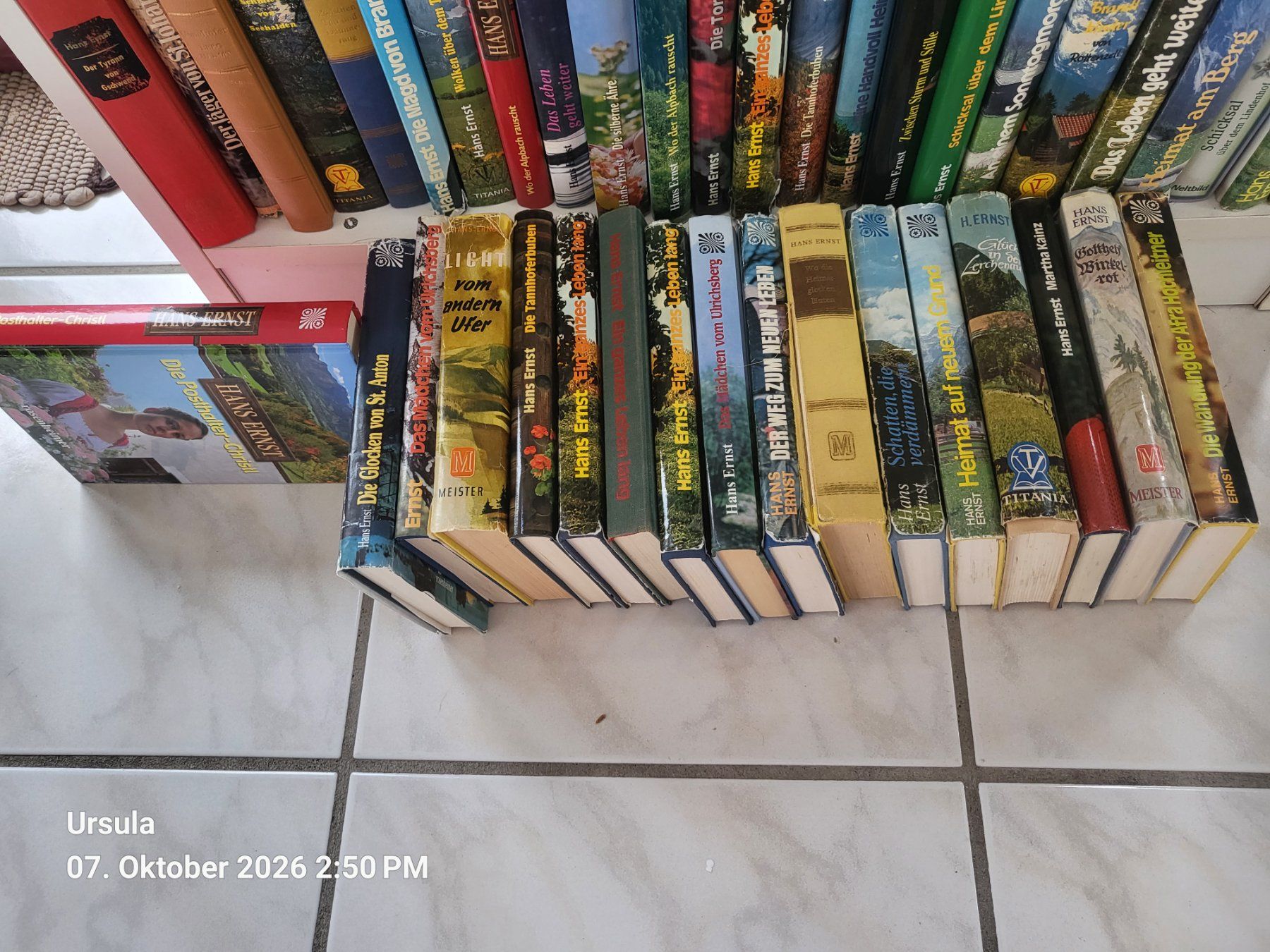 Libri: HANS ERNST BÜCHER CA. 65 BÜCHER – Usato da Rüti ZH venduto da poopey 1
