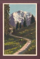 Weg nach Grütschalp - JUNGFRAU