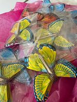 Aufziehbare fliegende Schmetterlinge mit Gummizug