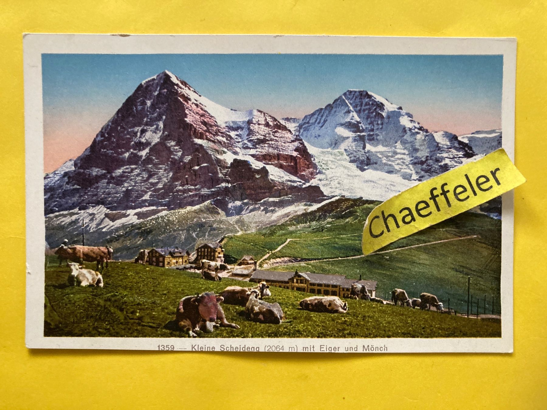Cartes postales: 1359 Kleine Scheidegg mit Eiger und Mönch – D'occasion à Zürich par Chaeffeler