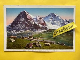 1359 Kleine Scheidegg mit Eiger und Mönch