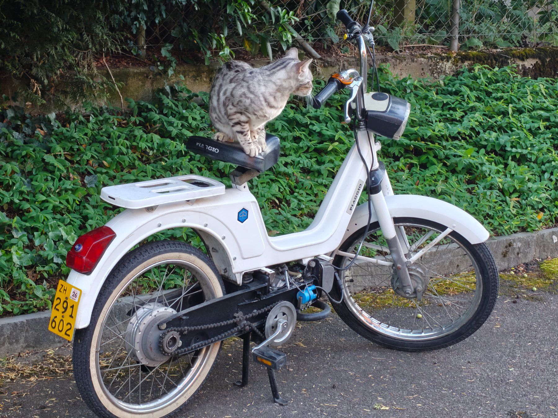 Piaggio Cyclomoteurs: Piaggio Boxer 1 – D'occasion à Tagelswangen par salko 1
