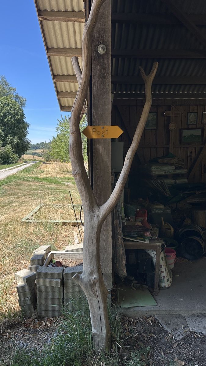 Katzenbaum - Kratzbaum: Kratzbaum – Gebraucht aus Mittelhäusern von mammut78 1