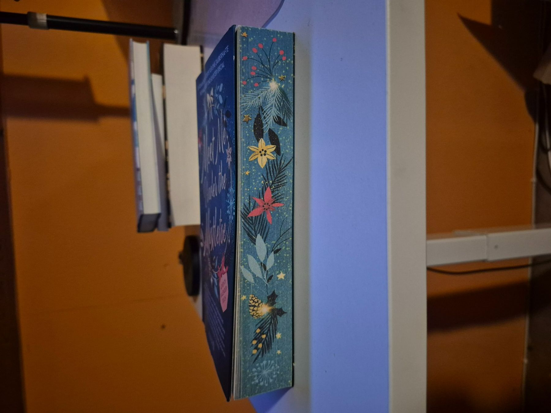 Libri: Adventskalender-Buch: "Meet Me Under The Mistletoe" – Usato da Interlaken venduto da cri_d9sz 2