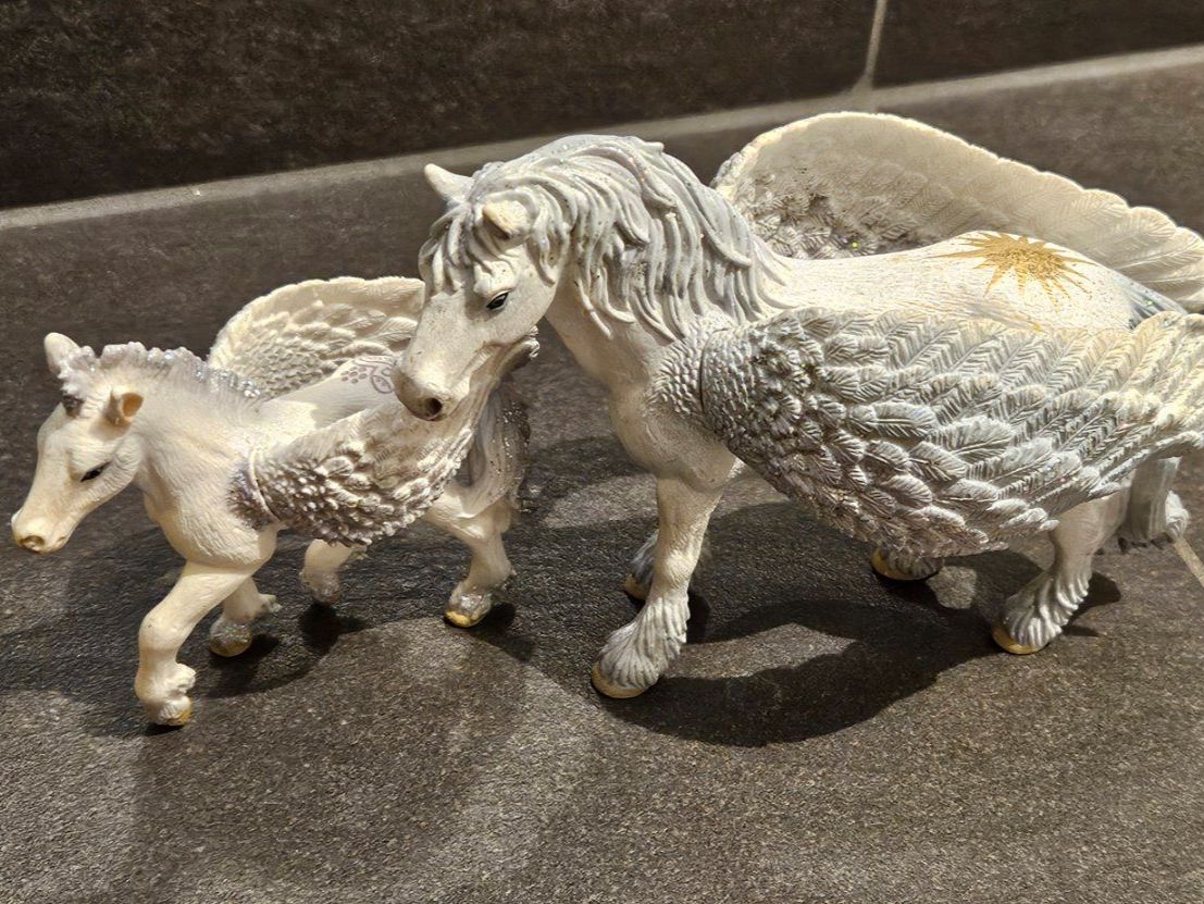 Schleich Figuren: SCHLEICH Pegasus Set – Gebraucht aus Balgach von silvia2030 1