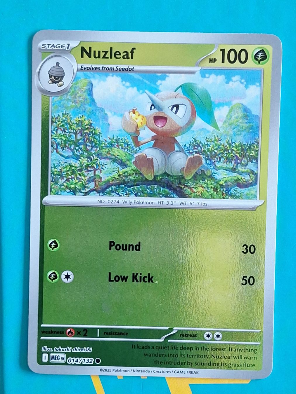 Pokémon Carte collezionabili: Nuzleaf - Reverse Holo Pokemon Mega Evolution #1.8 – Usato da Altstätten SG venduto da GGsGameshop