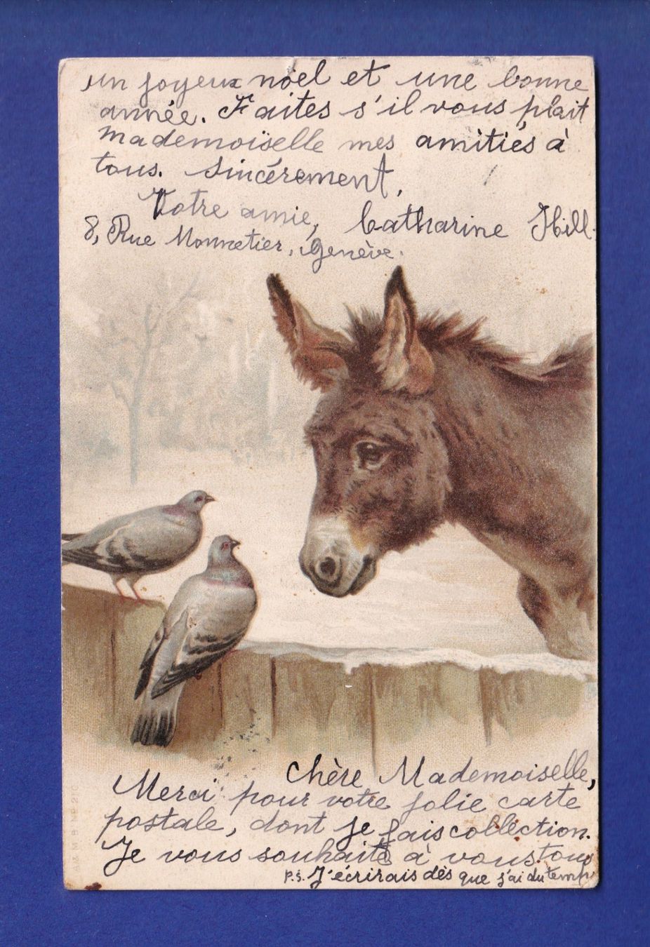 Cartes postales: ANE et OISEAU // pli d'angle // – D'occasion à Pully par nicecards-shop