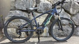 E-Bike Mountainbike mit Bären-Starkem Motor 80Nm TOP