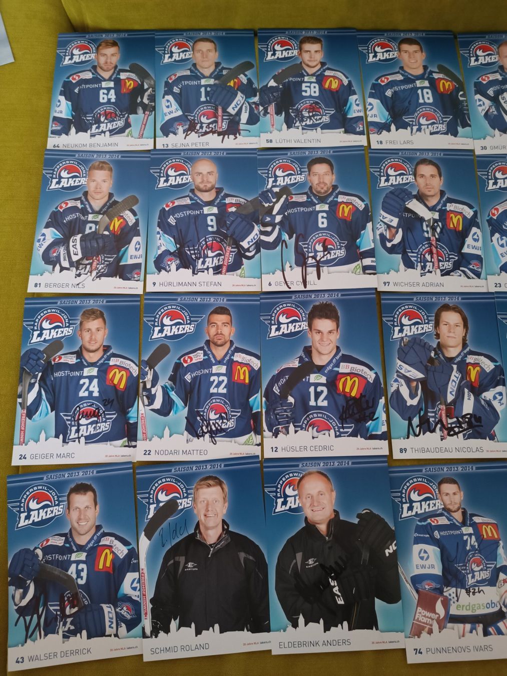 Autografi: 24x Rapperswil-Lakers 2013/2014 - handsigniert – Usato da Menziken venduto da Artographs 1