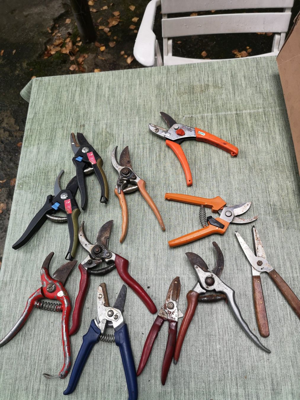 Tutti gli attrezzi: Rosenscheren Lot – Difettoso da Schaffhausen venduto da Leveron13