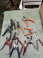 Rosenscheren Lot