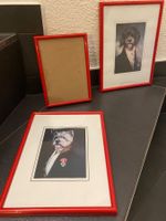 3 lustige Bilderrahmen rot Hama (Hunde)