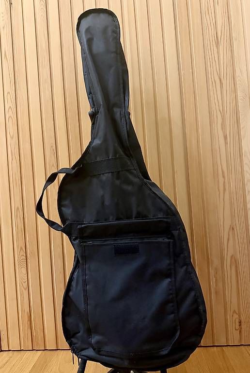 Strumenti musicali: Chitarra elettrica  – Usato da Lamone venduto da vic_hsc5 4