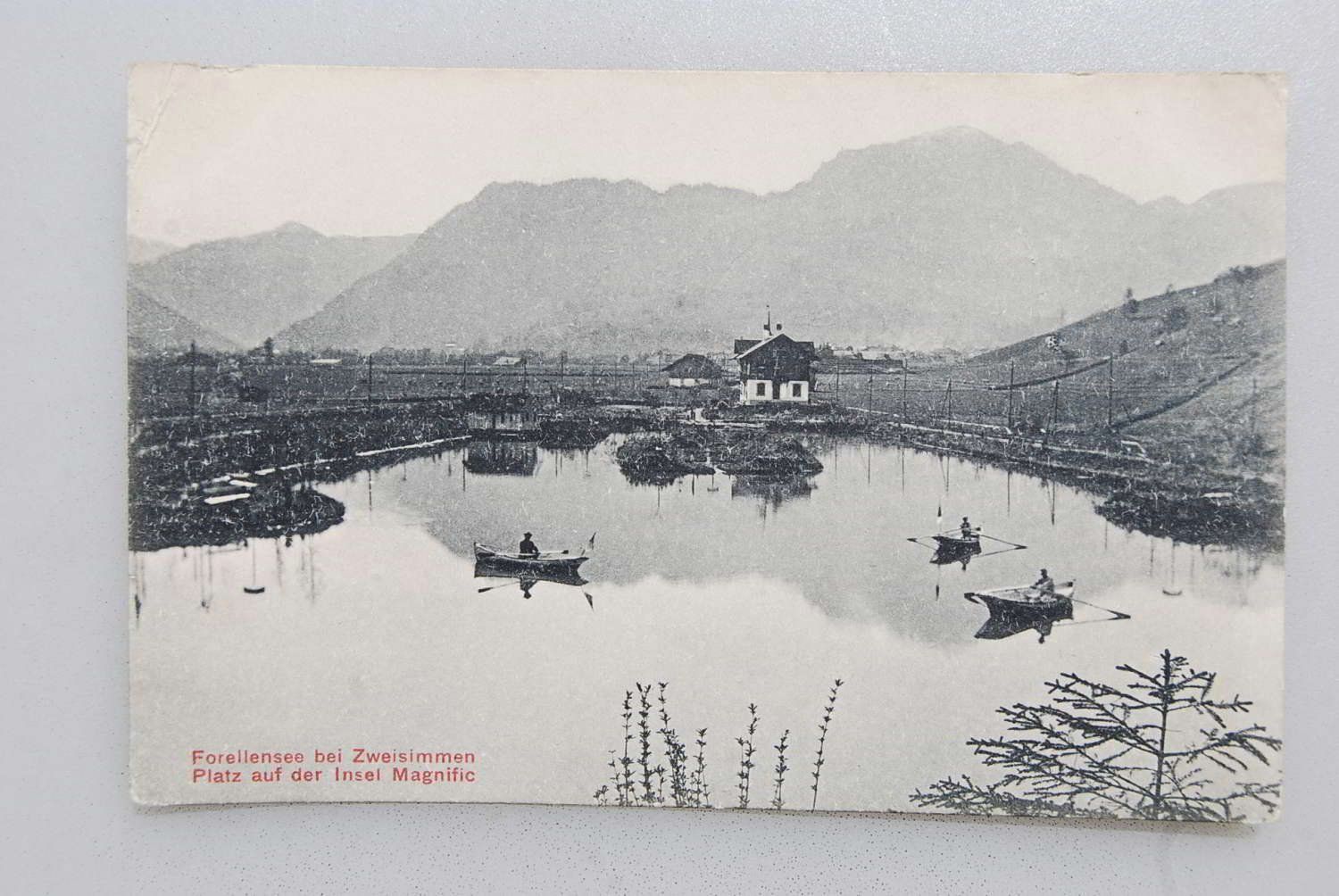 Cartoline postali: AK Forellensee bei Zweisimmen – Usato da Rüfenacht BE venduto da Toro06