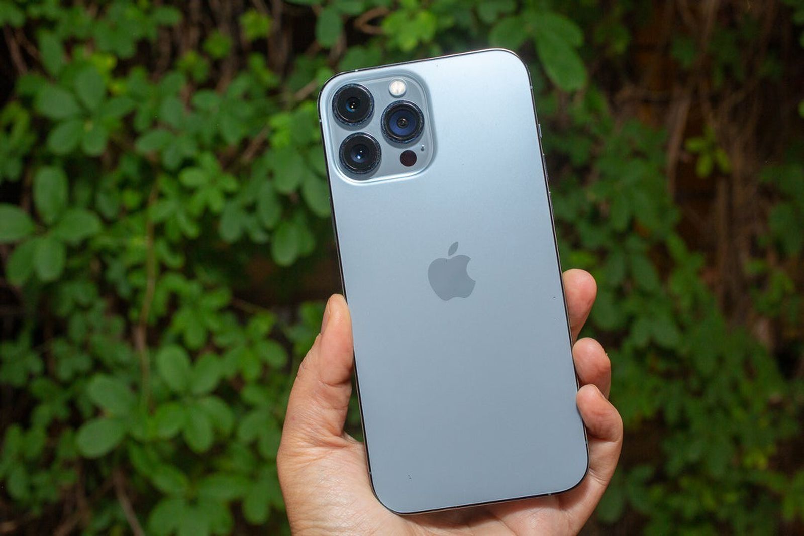 Apple Telefoni cellulari / Smartphones: iPhone Pro Max 128GB Sierra Blue – Usato da Herzogenbuchsee venduto da Zapilosotonograf 2