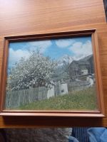Schönes gerahmtes Bild "Bei Sedrun", Piz Ner, Vintage! (52)