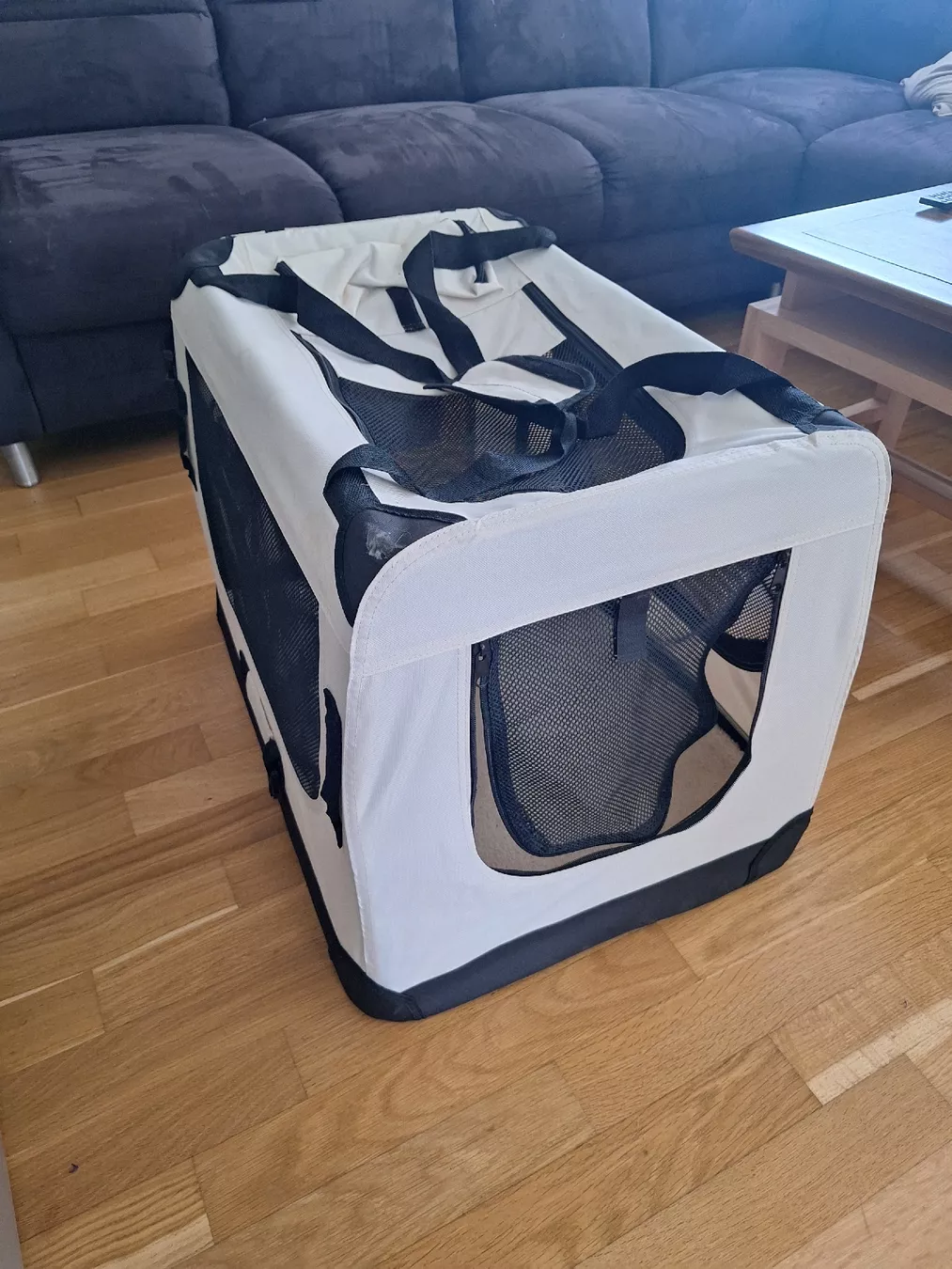 Cucce & Letti: Pet Violet Transportbox – Usato da Lenzburg venduto da sin_6g9s