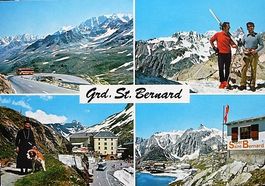 GRD. ST. BERNARD