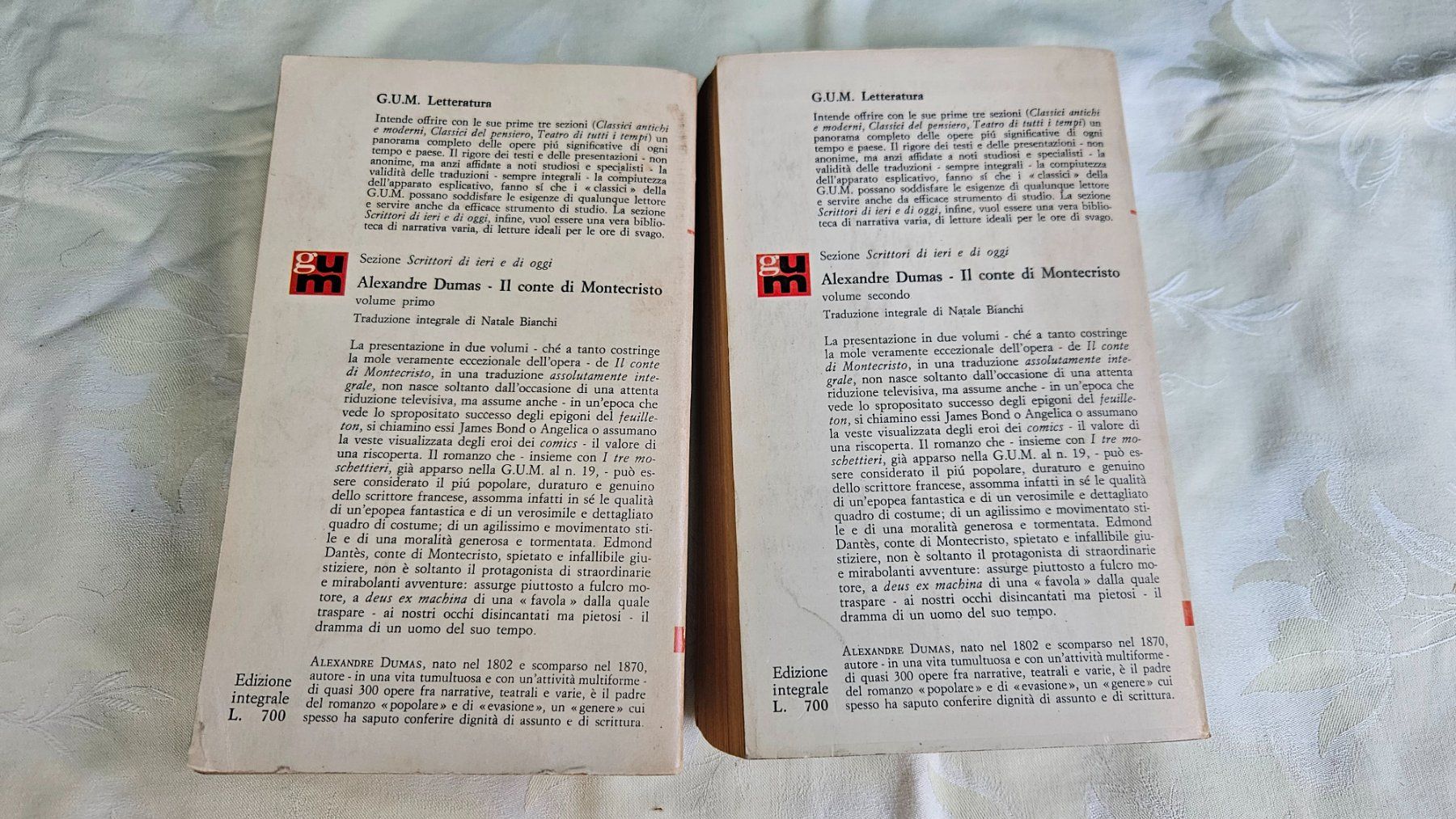Libri: 2 volumi "Il conte di Montecristo" di A. Dumas – Usato da Melano venduto da H-Sara 1