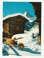 Ansichtskarte Winkelmatten Zermatt Matterhorn Gelaufen 1979