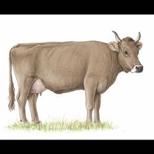 Profile image of Rpnlrs91