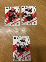 3 Eishockey Sammelkarten Lausanne HC Spieler Set