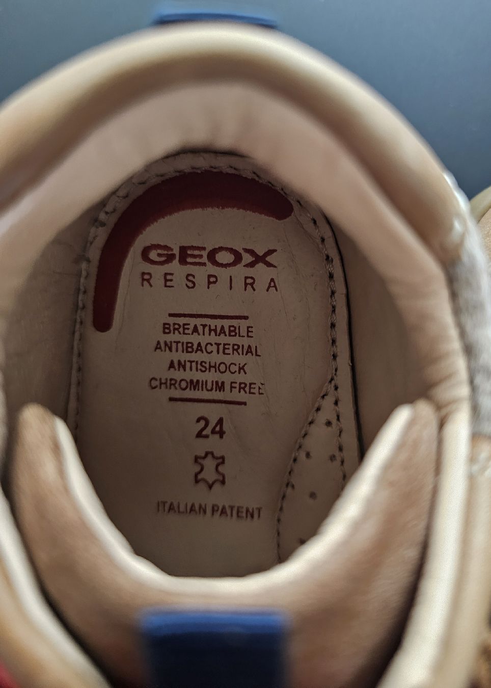 Geox Scarpe per ragazzi: Geox Lauflernschuhe Gr. 24 – Nuovo (secondo la descrizione) da Zürich venduto da sav_8c2f 1