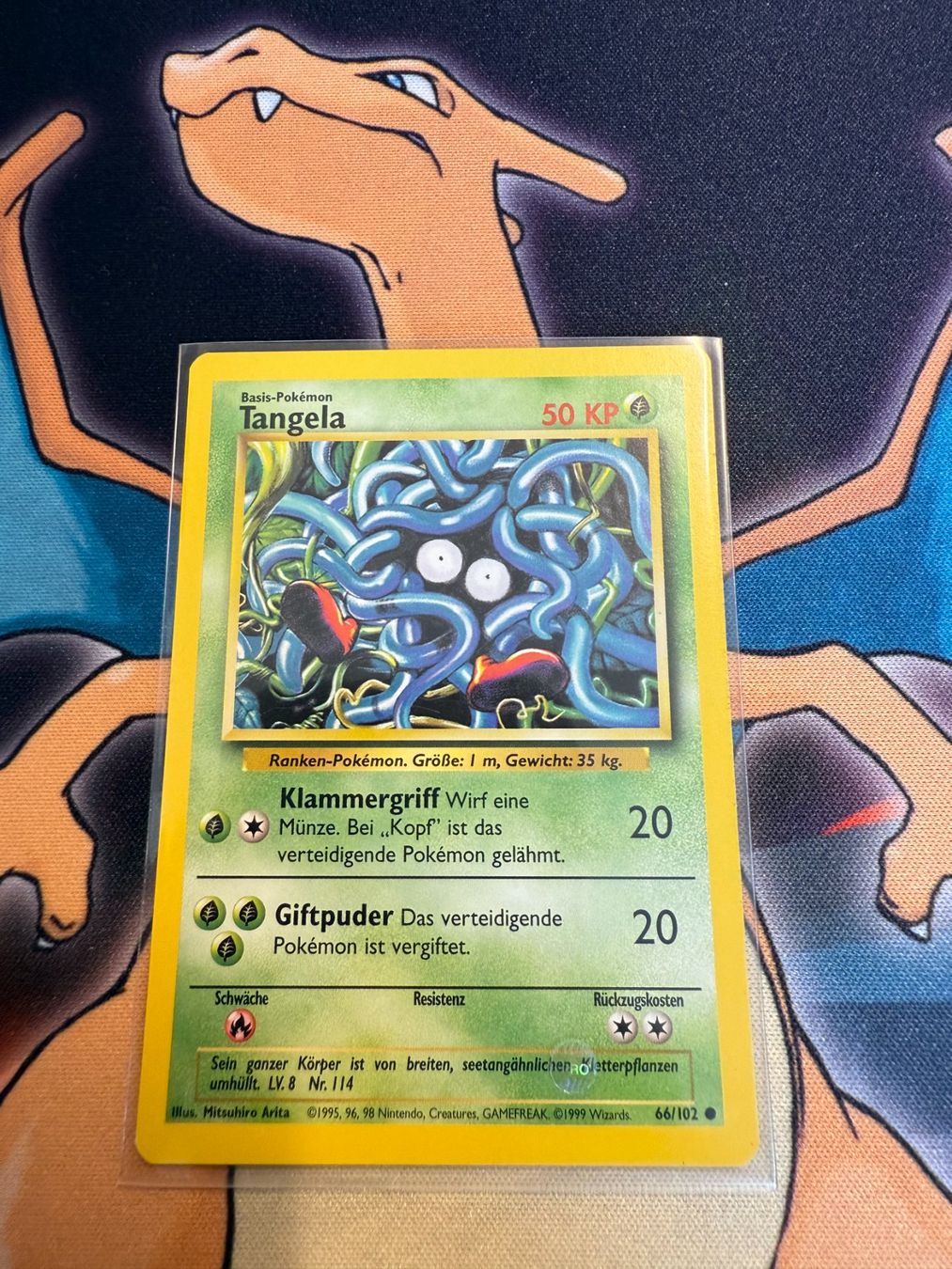 Pokémon Carte collezionabili: Tangela (BS 66) - DE - Base Set – Usato da Bülach venduto da Pfrenzel