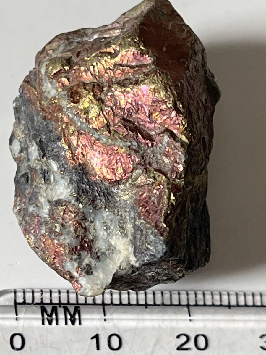 Mineralien & Heilsteine: Top! Bornite „Bezeichnung Buntkupferkies“ aus Nevada, USA – Gebraucht aus Uster von Arrayo 3