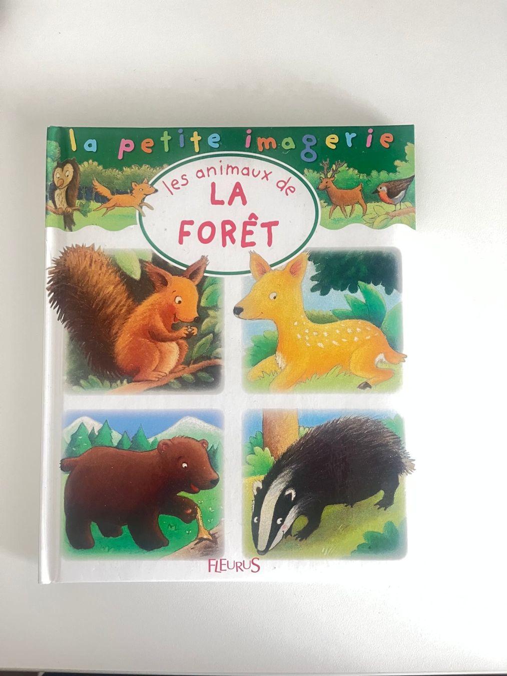 Libri: La forêt - Relié – Usato da Malleray venduto da ste_rx2t