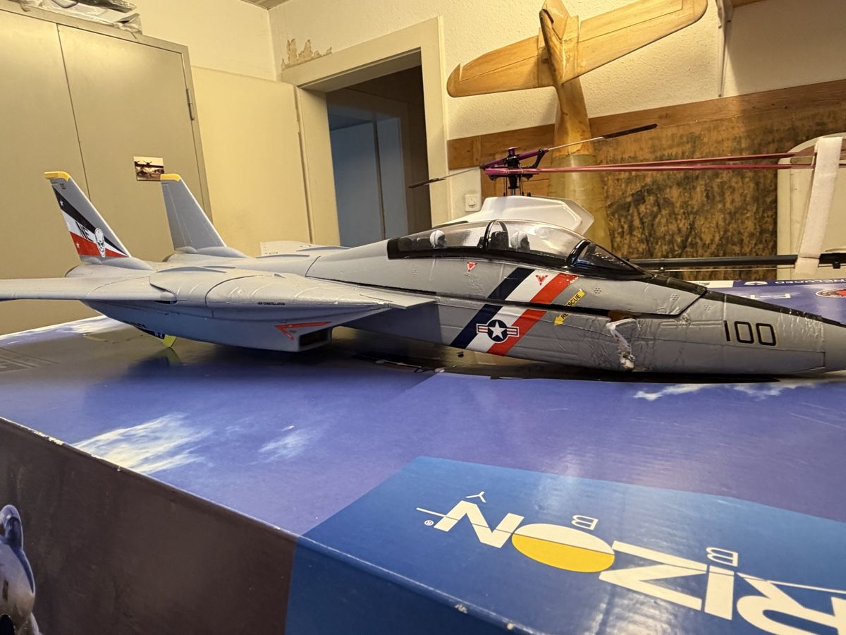E-Flite Modellismo RC: F14 E-flight – Difettoso da Chêne-Bougeries venduto da Varioskyfox1982 8