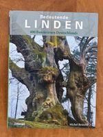Bedeutende Linden 400 Baumriesen Deutschlands
