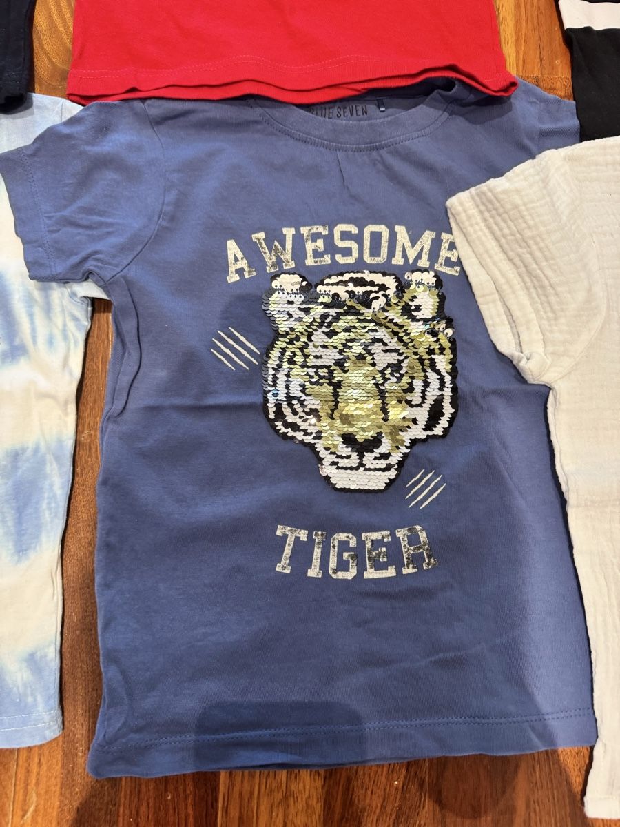 Lotti & Set di vestiti: Jungen t-Shirts Gr. 110 – Usato da Adliswil venduto da Marylu001 1