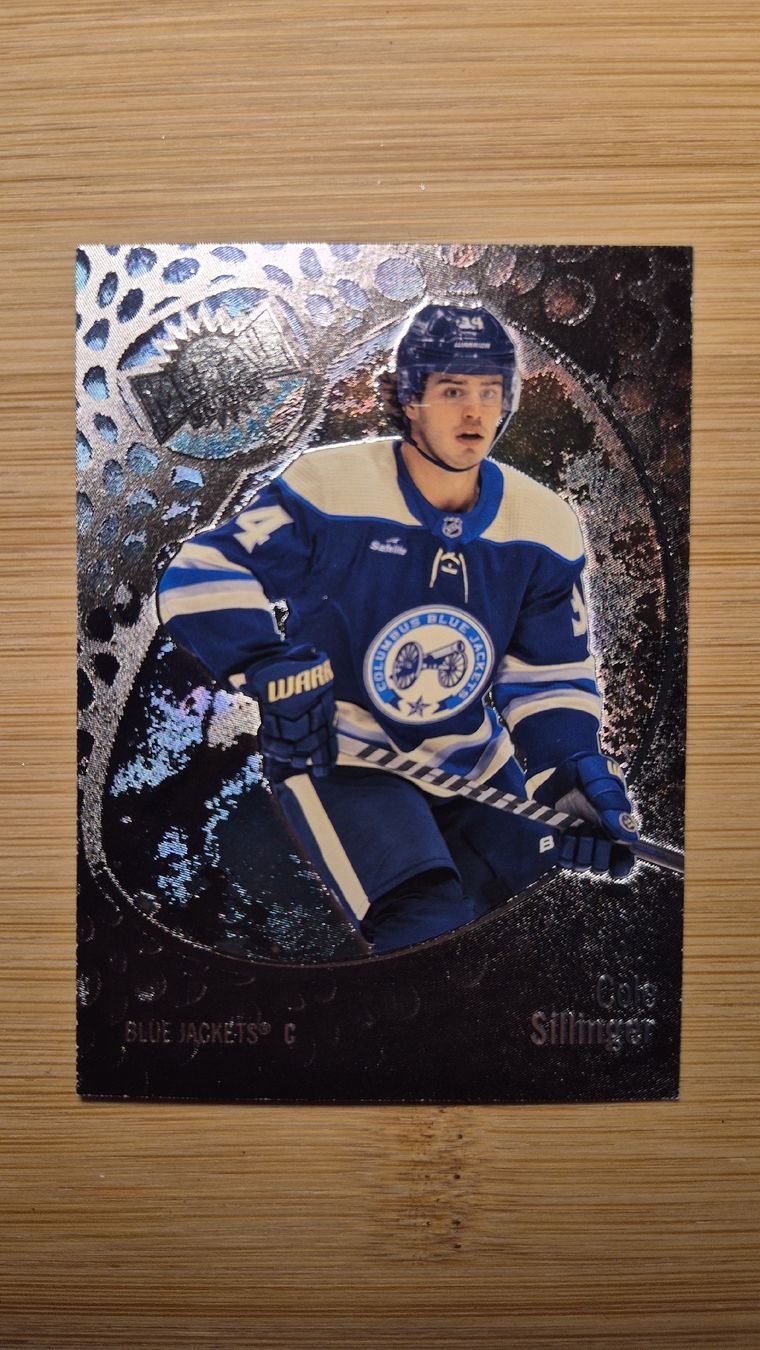 NHL Carte collezionabili: NHL Columbus Blue Jackets Cole Sillinger – Usato da Bellach venduto da paedu-1980