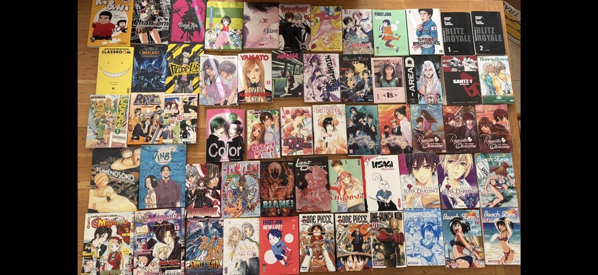 BD: Lot de divers Mangas 58 livres – D'occasion à Echallens par leo_dk2d