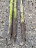 3 Gartenpfähle a 200cm und Durchmesser von 6cm Garten Zaun